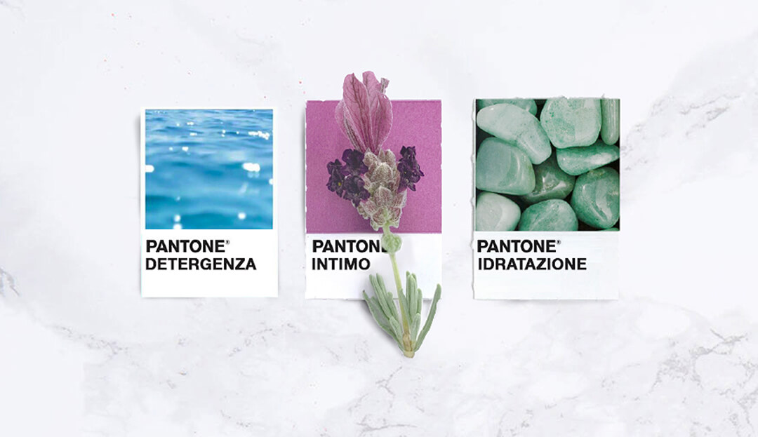 Studio nuove cromie per packaging Dermon